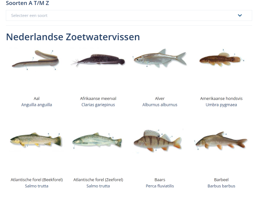 Voorbeeld zoekkaart